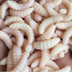 50pcs artificial soft maggot realistic grub fishing lure bait