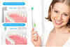 Image of Electric toothbrush for adult with USB charging full waterproof 4 toothbrush head - Shopiment