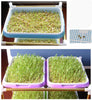 Image of Double-Layer Seed Sprout Nursery Pots Hydroponics Basket Flower Plant Germination Tray Box - Shopiment