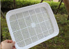 Image of Double-Layer Seed Sprout Nursery Pots Hydroponics Basket Flower Plant Germination Tray Box - Shopiment