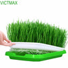 Image of Double-Layer Seed Sprout Nursery Pots Hydroponics Basket Flower Plant Germination Tray Box - Shopiment