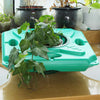 Image of Floating Pond Plant Nursery Pots Flower Seed Nursery -Tray Kit Plant Germination Box With Lid Garden Grow Box - Shopiment